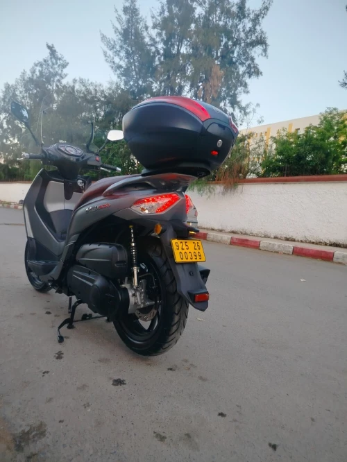 Sym HD300 2025