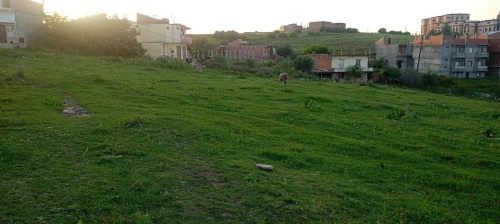 Vente Terrain Jijel Taher