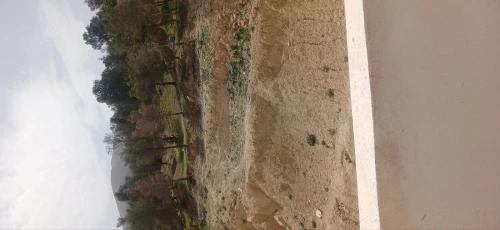 Vente Appartement F3 Batna El madher