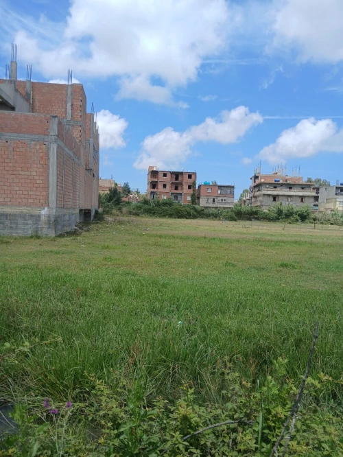 Vente Terrain Jijel Taher