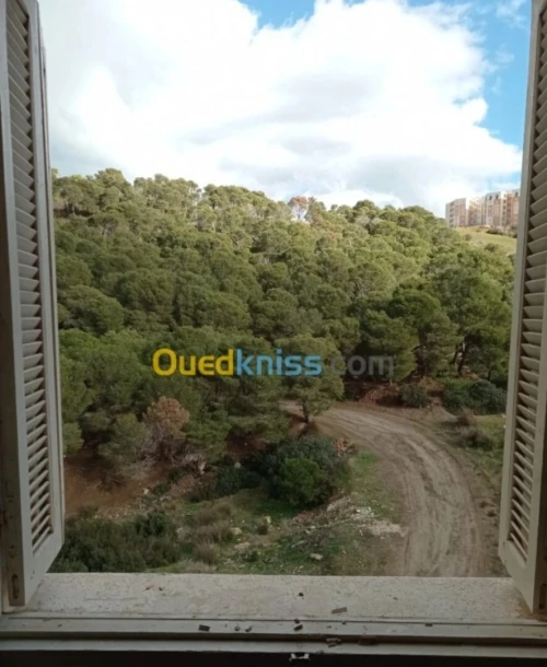 Vente Appartement F3 Tipaza Damous