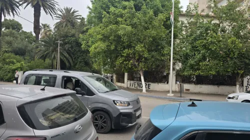 Vente Immeuble Annaba Annaba