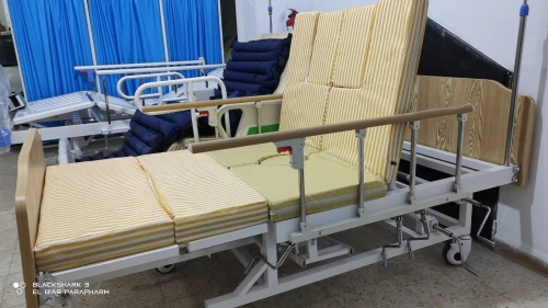 Lit Médicalisé Manuel 7 Position Avec Toilettes En ABS Importation