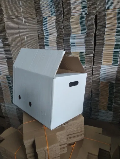 Carton emballage 