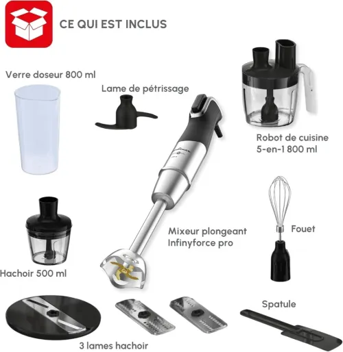 Moulinex Bras Mixeur 4 En1 1200W InfinyForce Pro DD95HD10