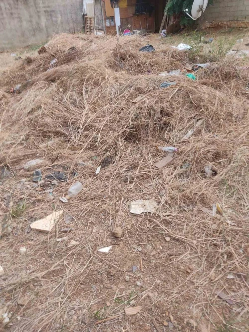 Vente Terrain Alger Kouba