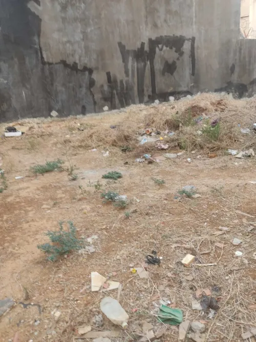 Vente Terrain Alger Kouba