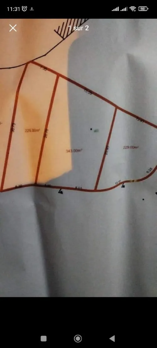 Vente Terrain Alger Bouzareah