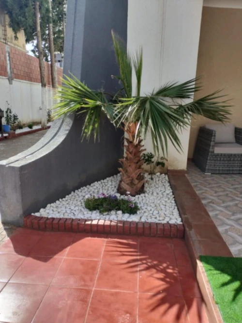 Nettoyage et jardinage d'espace vert