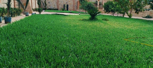 Espace vert et jardinage