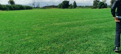 Espace vert et Gazon Naturel 