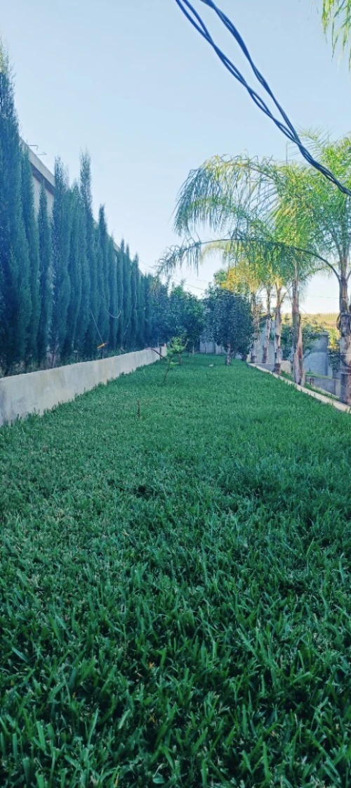 Espace vert et jardinage