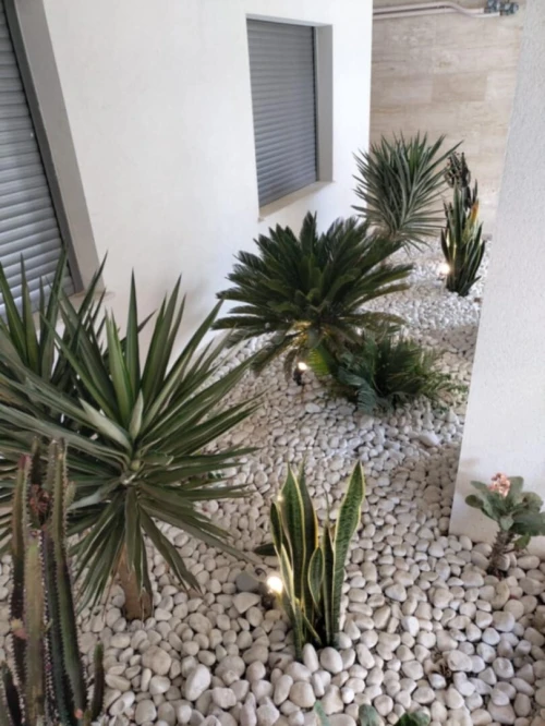 Espace vert et Gazon Naturel 