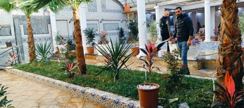 Espace vert et jardinage