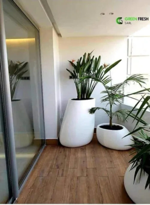 Espace vert et Gazon Naturel 
