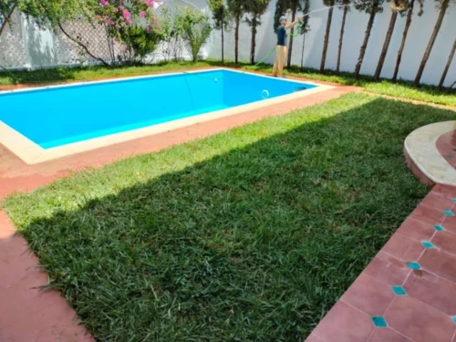 Espace vert et Gazon Naturel 