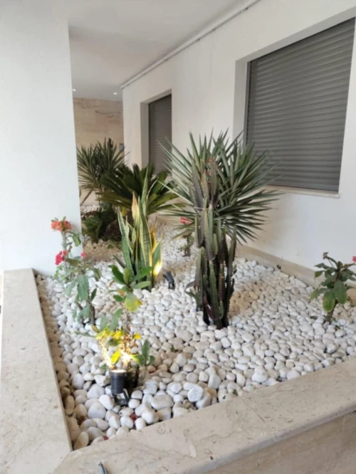 Nettoyage et jardinage d'espace vert