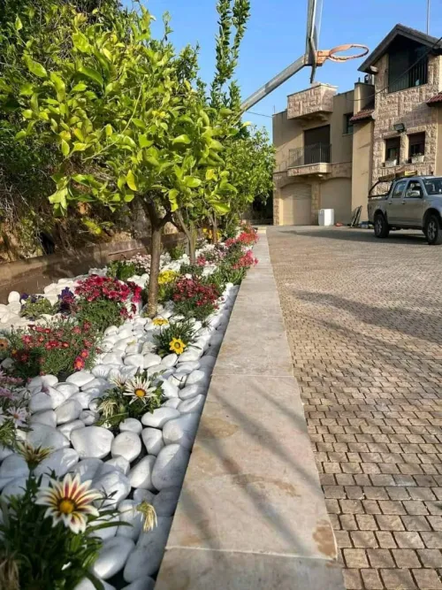 Gazon et jardinage 