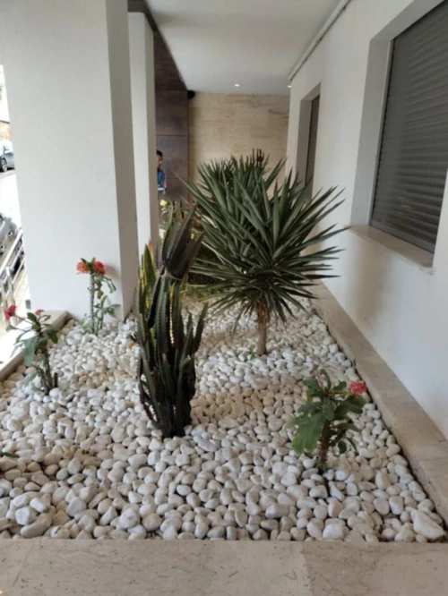 Nettoyage et jardinage d'espace vert