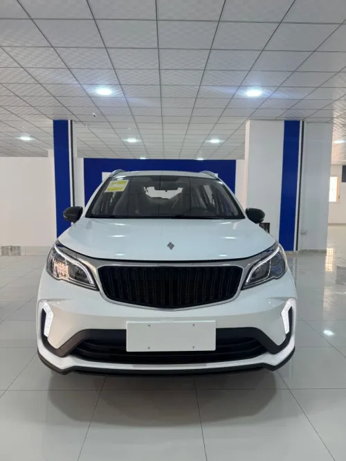 Livan X3 Pro  2025 Tt option