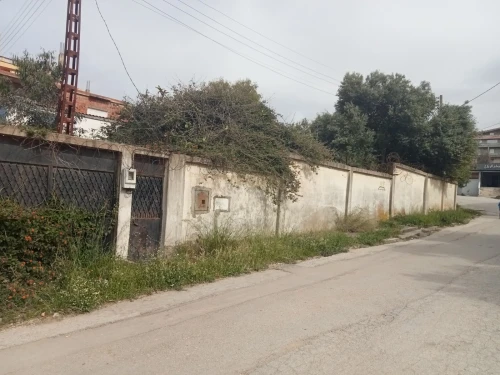Vente Terrain Skikda Skikda