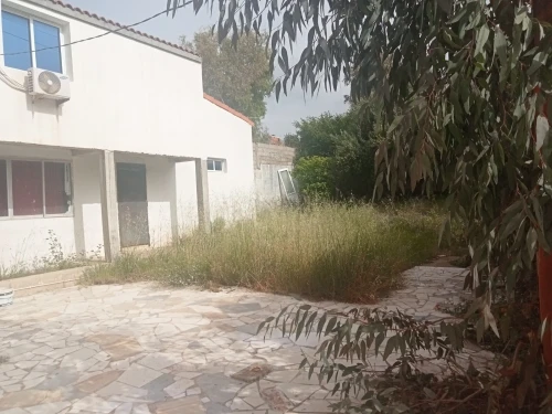Vente Terrain Skikda Skikda
