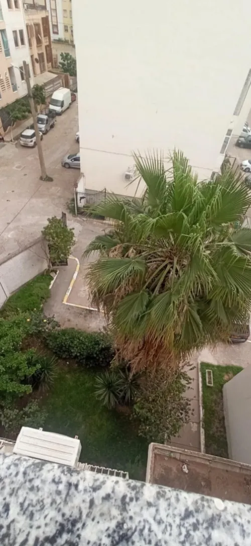 Location Appartement Alger Bordj el bahri