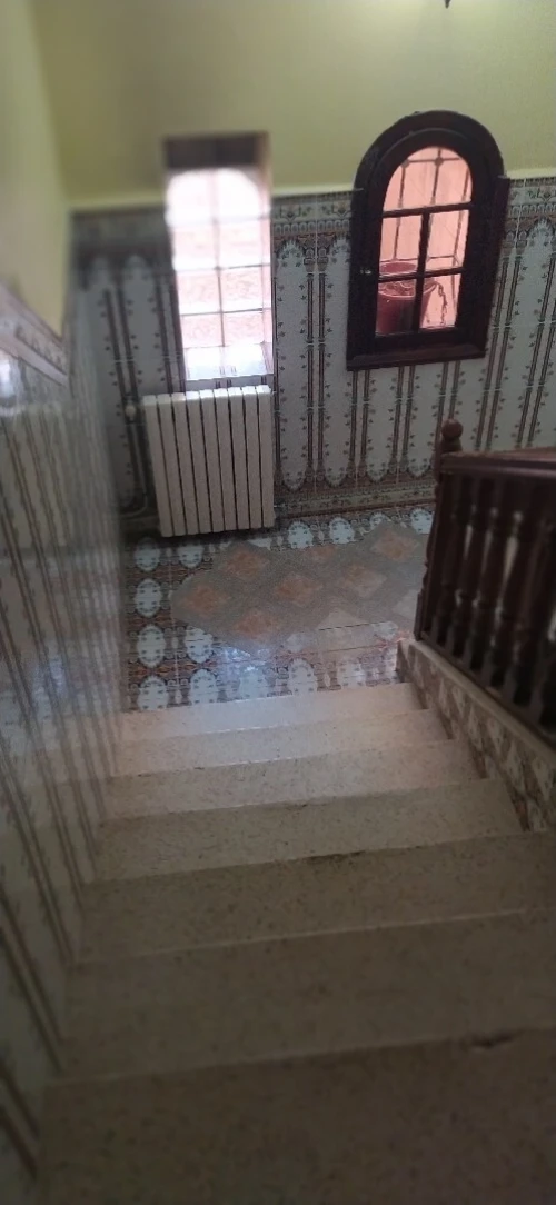 Location Villa Alger Les eucalyptus