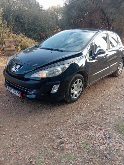 Peugeot 308 2008 Platinum 