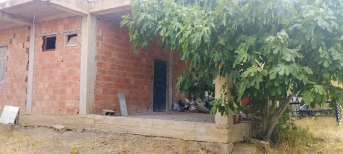Vente Terrain Médéa Tablat