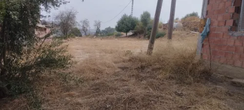 Vente Terrain Médéa Tablat 2