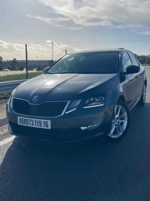 Skoda Octavia 2019 Clever