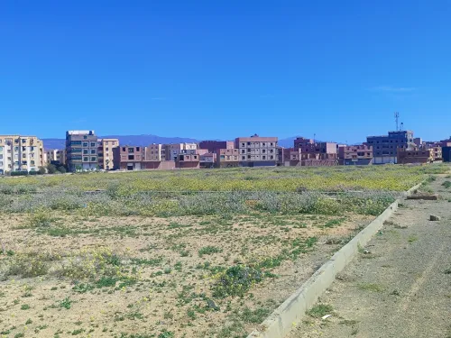 Vente Terrain Batna Ain touta