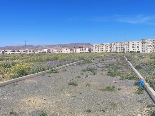 Vente Terrain Batna Ain touta