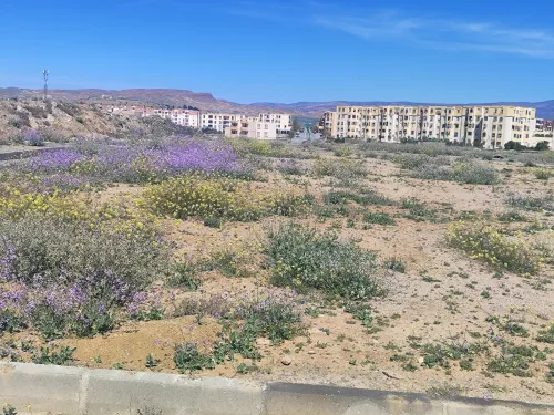 Vente Terrain Batna Ain touta