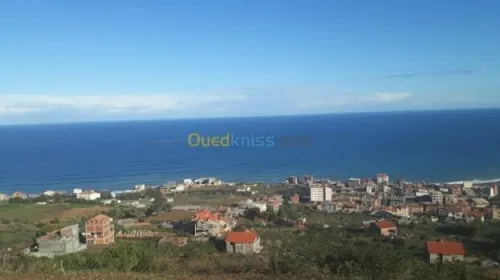Vente Terrain Béjaïa Beni ksila