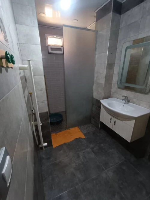 Vente Appartement Alger Les eucalyptus