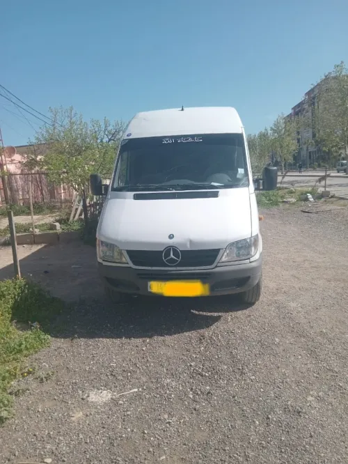Mercedes 313 2007