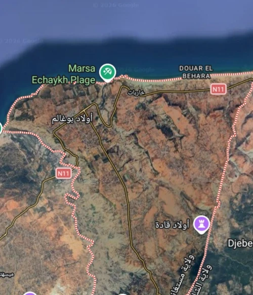 Vente Terrain Mostaganem Mostaganem