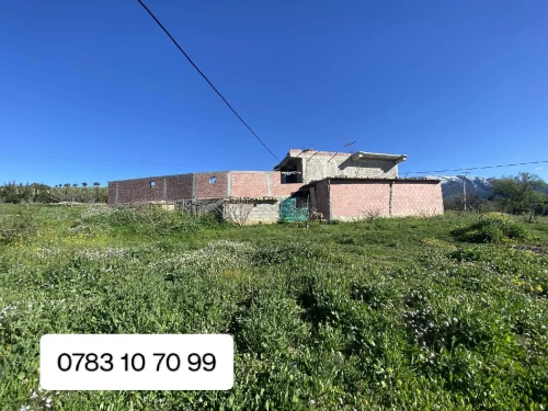 Vente Terrain Agricole Khenchela Tamza