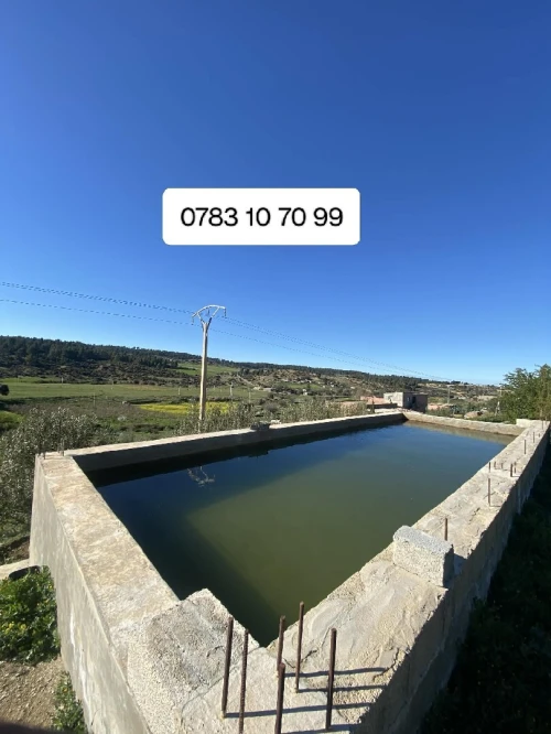 Vente Terrain Agricole Khenchela Tamza