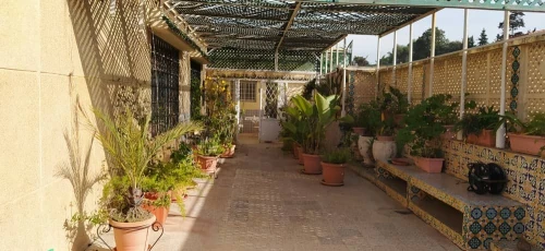 Location Villa Alger Hydra