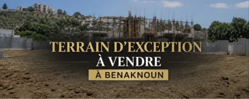 Vente Terrain Alger Ben aknoun