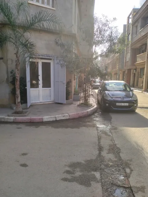 Location Local Tipaza Kolea