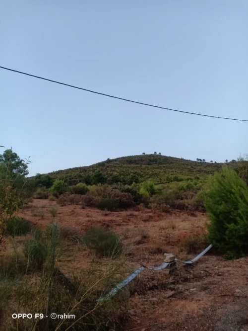 Vente Terrain Béjaïa Ighil ali
