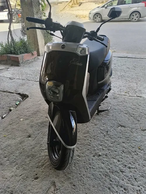 Vms Estate 2022
