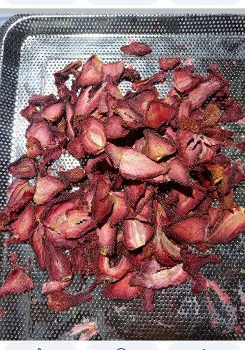 séchoir alimentaire مجفف الشخشوخة و العجائن و الخضر و الفواكه و الاعشاب 220فولط