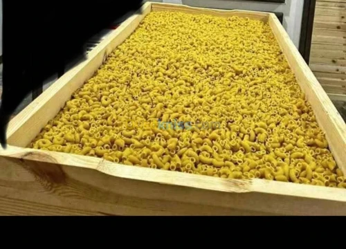 مجفف الشخشوخة و العجائن و الخضر و الفواكه و الاعشاب الطبية  séchoir alimentaire