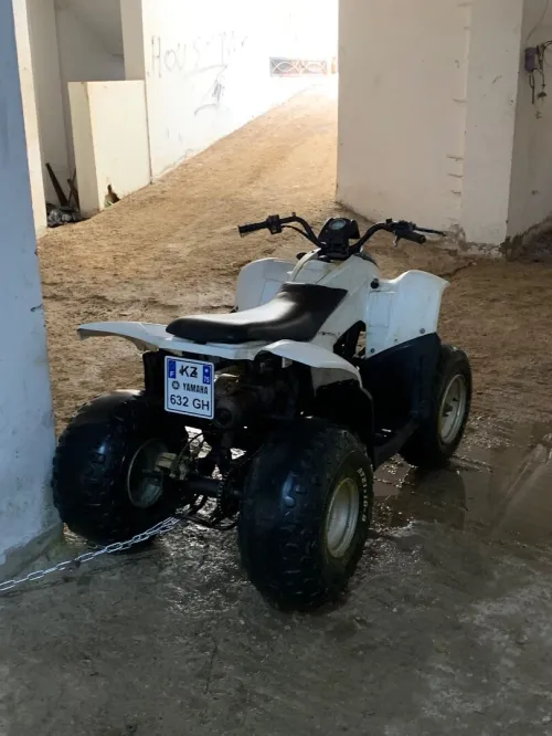 Quad boit auto 85cc 2T 🇫🇷 2016