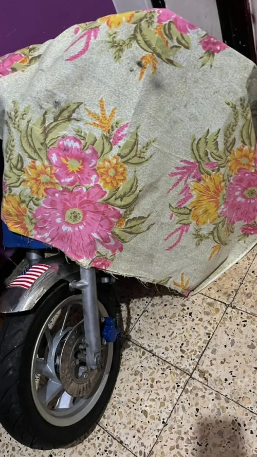 Mini harley davidson 50cc 🇺🇲  ⛽️ jdida 